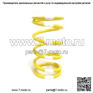OEM-желтая/белая основная пружина сцепления 0646-229