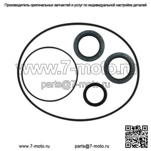OEM-комплект для ремонта уплотнений Polaris Ranger Scrambler Sportsman 400 800 2006-2012 3234406