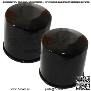 Два масляных фильтра для Triumph Bonneville 865 SE T100 Jet Black 110th Anniversary LE
