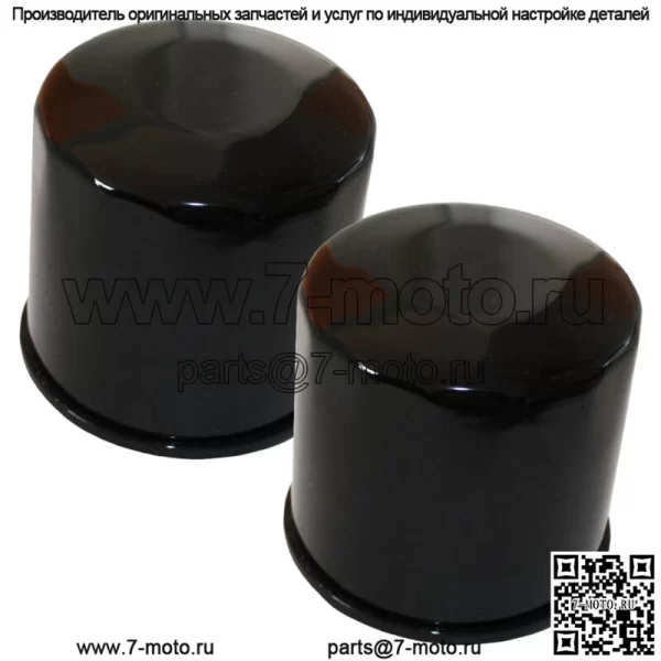 Два масляных фильтра для Triumph Bonneville 865 SE T100 Jet Black 110th Anniversary LE