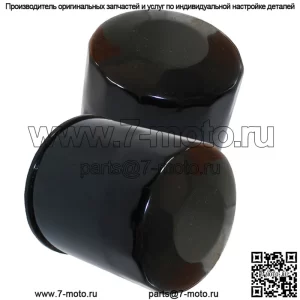 Два масляных фильтра для Kawasaki VN800 Vulcan 800 Classic 800 803 Drifter 800 1995-06
