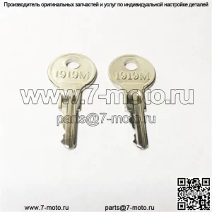 EZGO Golf Cart Газовые и электрические ключи 82+, включая TXT, RXV (набор из 2 шт.) Новые детали