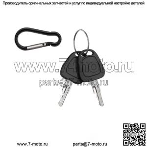 Ключ зажигания для гольф-кара из 2 предметов для медалиста EZGO TXT RXV 1982-up G&E 17063-G1