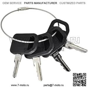 AM131841 Ключи зажигания 131841 AM101600 Совместимы с John Deere Gator CS/CX/HPX 4X2 4X4 6X4 300 400 X400 X500 GX GT LX Series 130 160 165 240 245 Газонокосилка-трактор AUC12681 AM102439 6 (4)