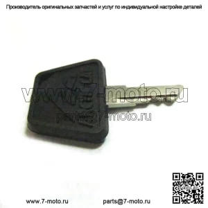 OEM-ключ зажигания для снегоходов 2C 0609-461