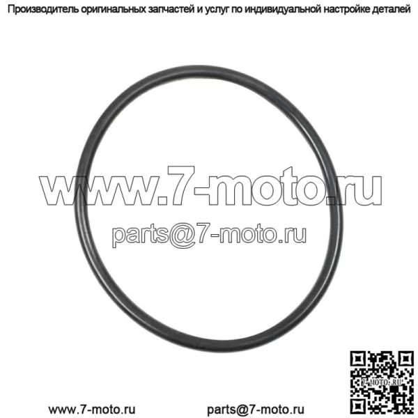 Прокладки впускного коллектора верхние для Chevy Olds Express Van S10 Pickup SaVana - Image 3