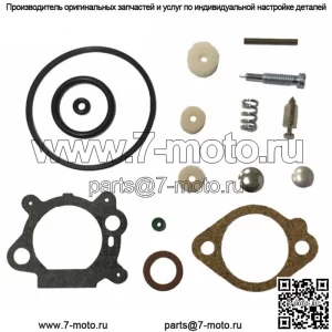 КОМПЛЕКТ КАРБЮРАТОРА ДЛЯ 498260 493762 492495 498261 490937 10237