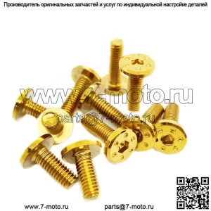 Винт с плоской головкой M6 из нержавеющей стали 304/модифицированный универсальный позолоченный винт для электромобиля мотоцикла