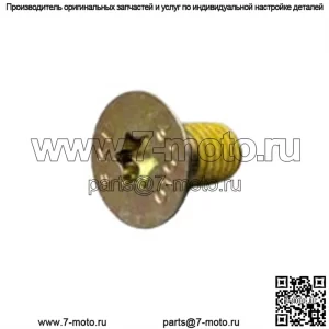 OEM M8X16 КОНИЧЕСКИЙ БОЛТ TORX 235381646 Outlander Renegade Commander