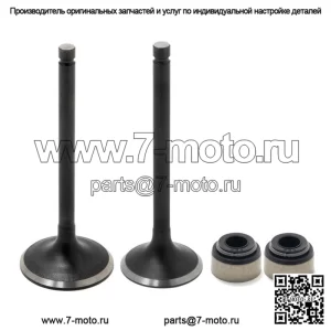 Впускные и выпускные клапаны и комплект уплотнений для Yamaha Kodiak 400 450/Rhino 450/Wolverine 450/Gizzly 400 450