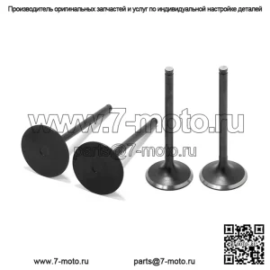 Впускные и выпускные клапаны для квадроциклов Kawasaki KFX450R 2008-2014 гг.