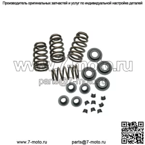 Комплекты пружин клапанов  Sidewinder для Harley