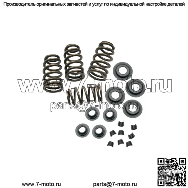 Комплекты пружин клапанов  Sidewinder для Harley