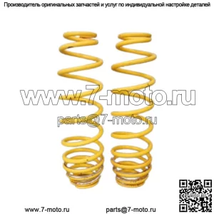 Can Am 2012-2015 Renegade 800 1000 Комплект задних пружин 70600955
