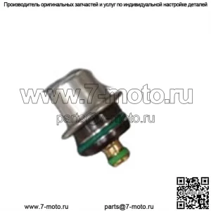NEW Utility 1009-0114 Регулятор давления топлива FPR Canam