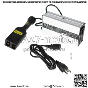 Зарядное устройство Powerwise 36 Вольт для гольф-кара "D"-стиль для TXT Medalist EZ-GO