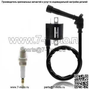 Катушка зажигания Свеча зажигания Yamaha 660R YFM660R Grizzly 660 Rhino 660 4x4 (Для: Yamaha 660R)
