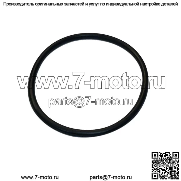 358101R1 Уплотнительное кольцо фиксатора подшипника вала шестерни - подходит для тракторов International