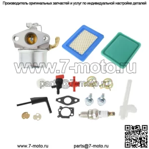 Карбюратор для газонокосилки Briggs & Stratton 796258 796227 792295 796997 Двигатель