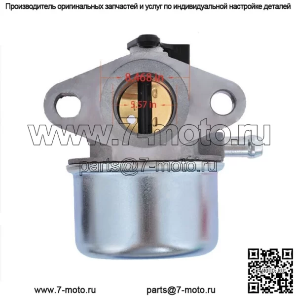 Комплект карбюратора для Briggs & Stratton 799868 498254 497347 497314 498170 Carb US - Image 5