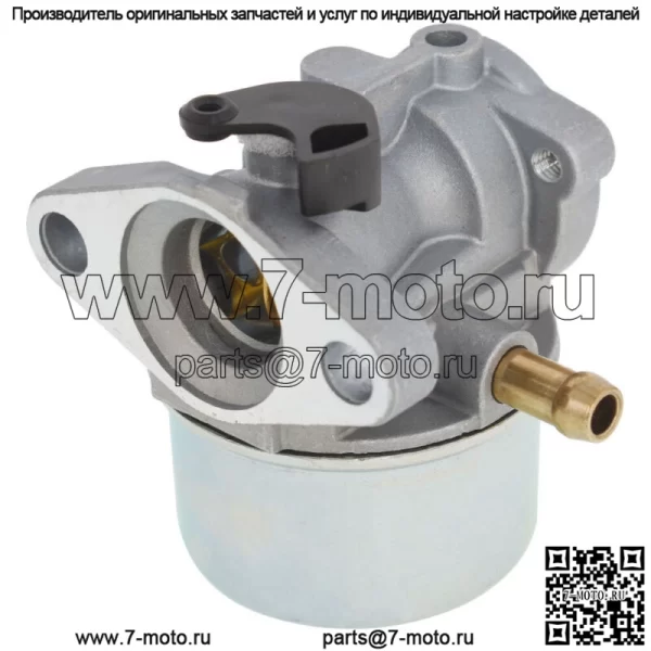 Комплект карбюратора для BS 799868 799872 790821 498170 497586 498254 - Image 5
