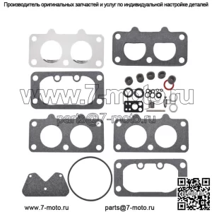 Комплект прокладок для капитального ремонта карбюратора для Briggs& Stratton 797890 799511 40H700 446700