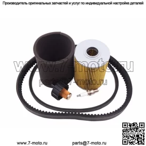 Комплект для настройки гольф-кара Yamaha G2, G9, G11 с приводным ремнем стартера и свечой зажигания NGK
