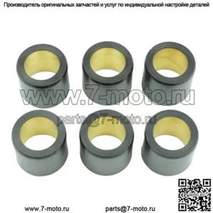 ролики вариатора/грузы 25x22,2 - 22,00 г, 6 шт.