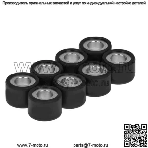 Ролики/грузы вариатора 25x17 - 16,00 г, 8 шт.