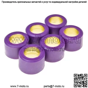 ролики вариатора/грузы 16x13 - 9,00 г, 6 шт.