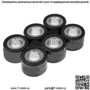 ролики вариатора/грузы 20x14,5 - 11,80 г, 6 шт.