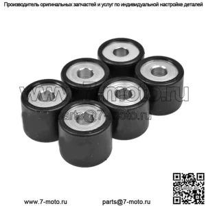 Ролики/грузы вариатора 19x17 - 10,00 г, 6 шт.