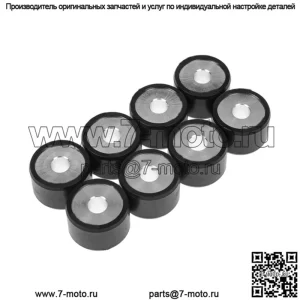 ролики вариатора/грузы 25x15,9 - 15,00 г, 8 шт.