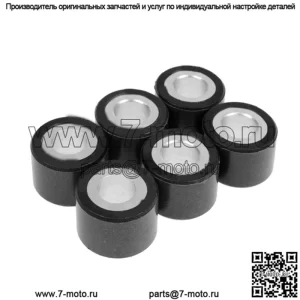 ролики вариатора/грузы 20x17 - 11,00 г, 6 шт.