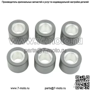 ролики вариатора/грузы 20,9x17 - 10,00 г, 6 шт.