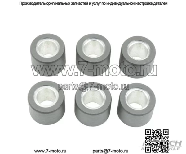 ролики вариатора/грузы 20,9x17 - 10,00 г, 6 шт.