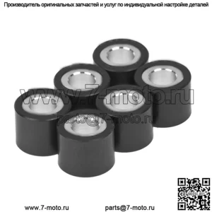 ролики вариатора/грузы 20x17 - 14,00 г, 6 шт.