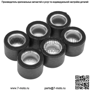 ролики вариатора/грузы 25x22,2 - 28,00 г, 6 шт.