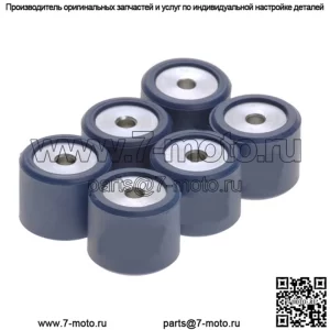 ролики вариатора/грузы 20,6x17 - 10,30 г, 6 шт.