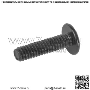 ВИНТ, 1/4-20 X 1.0, ЧЕРНЫЙ