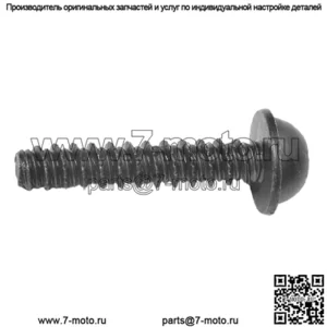 ВИНТ-M6-TORX-БЛОКИРОВОЧНАЯ РЕЗЬБА