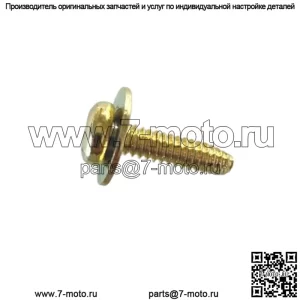 Polaris 1 Новый OEM 7518196 SCR-10-24X3/4 PH/TX/TRI-SEMS Y Винт - различные квадроциклы