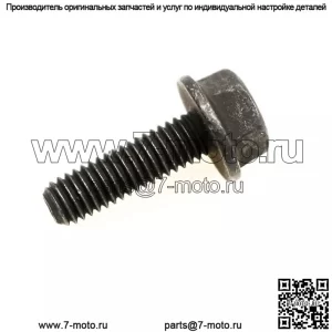 Polaris 7519121 Scr-hxfl-m6x1.0x20 8.8 Rie Sportsman RZR Ranger General