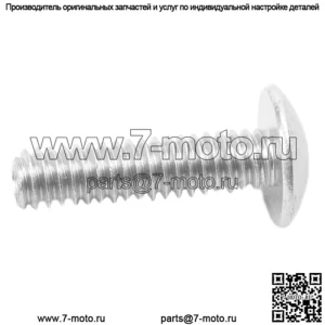 ВИНТ- 1/4-20 X 1.0 TRS HD MCH