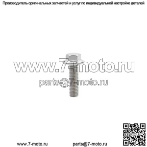 OEM Болт Flg M12x1.75x100 Патч