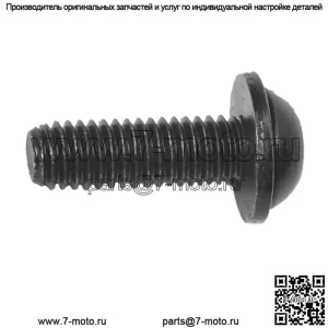 ВИНТ - M6 TORX BTTN HD SEMS