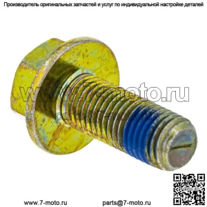 Болт Polaris GEM с накладкой, 10 мм x 1,25 мм x 25 мм, оригинальная деталь OEM 7518760, кол-во 1