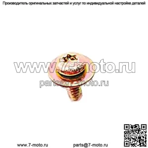 Винт Polaris RZR, оригинальная деталь OEM 7512084, кол-во 1