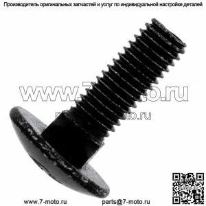 Polaris 7520298 SCR-RHCAR-M8X1.25X25 10.9 ZB3 RZR Рейнджер 1000 900 800 500 570