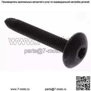 Polaris SCR-M6X1X40,TR/TX-M 7519001 OEM НОВЫЙ